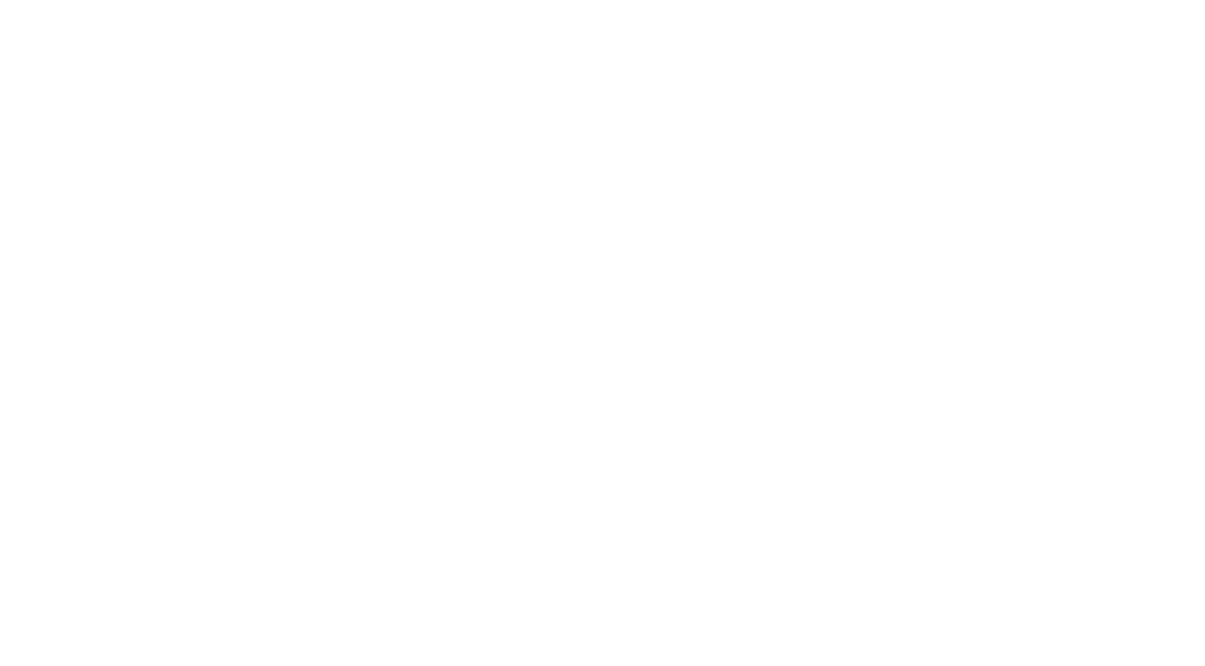 ModigenceVision white logo on ink