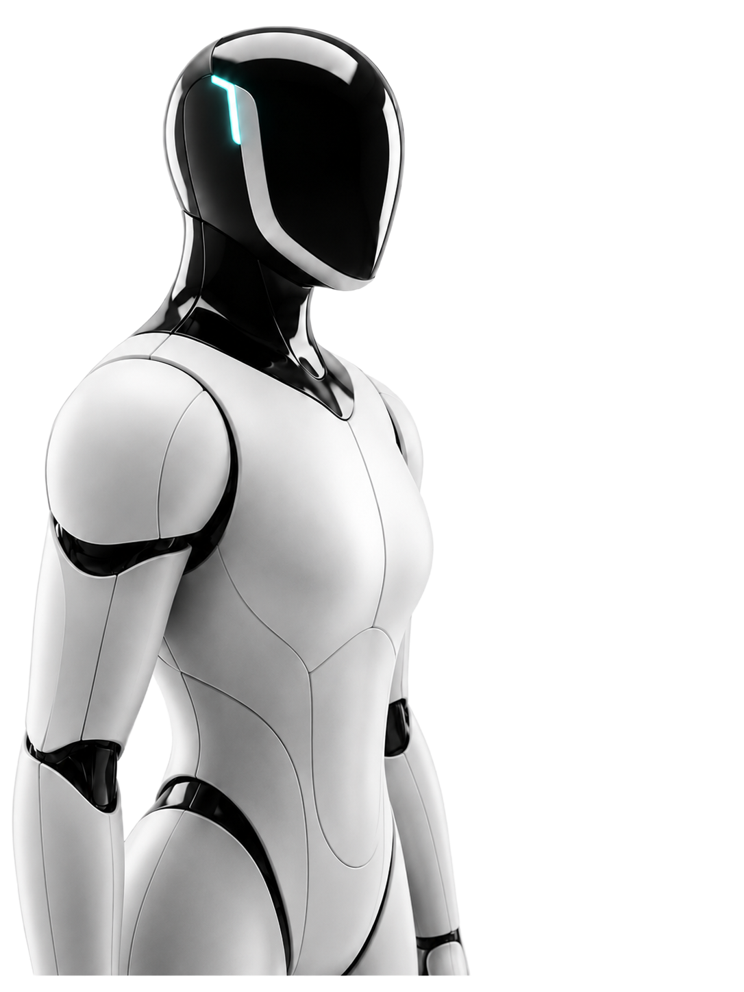 Humanoid robot